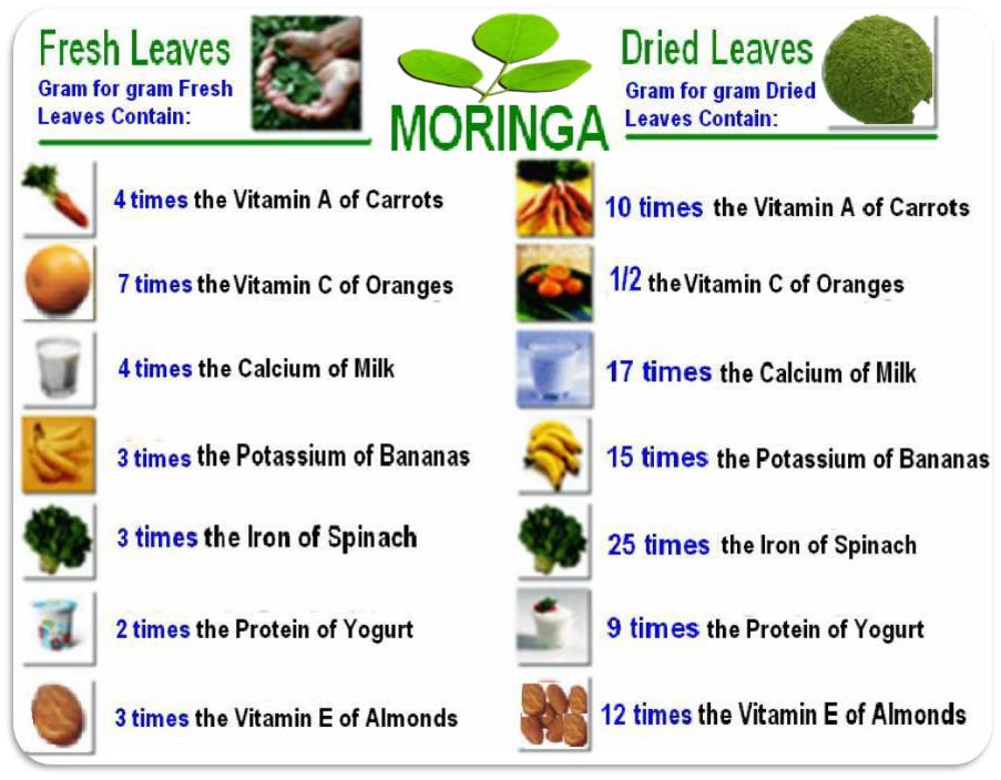 Moringa Nutritional Value