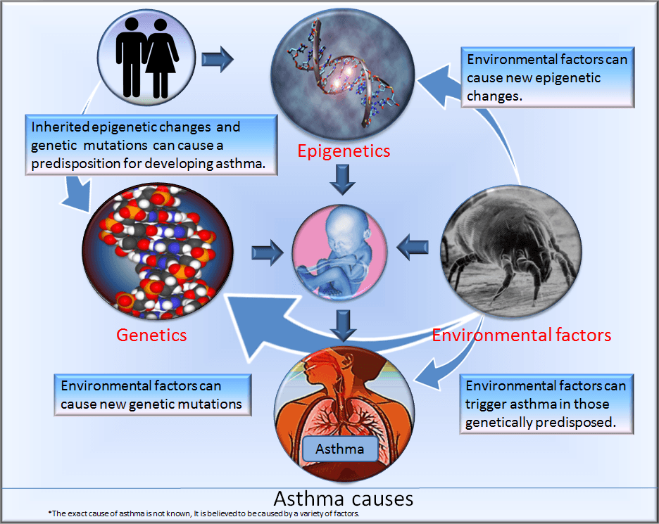 Asthma_causes