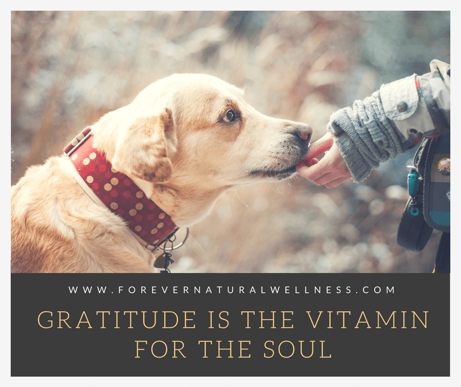 Gratitude is the vitamin for the soul.