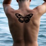 An Inspirational Story about Life – “The Man and the Butterfly”