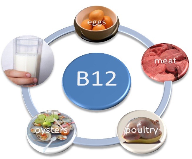 Vitamin B12 Foods